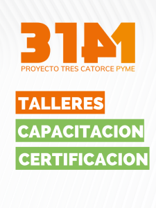 Perfil hallou proyecto 314